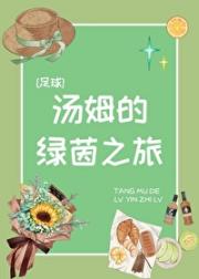 [足球]汤姆的绿茵之旅