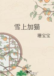 雪上加猫