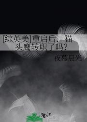 [综英美]重启后，猫头鹰转职了吗？