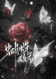 我只救你33次