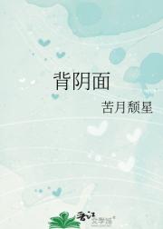 背阴面