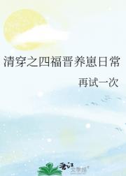 清穿之四福晋养崽日常
