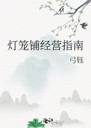 灯笼铺经营指南