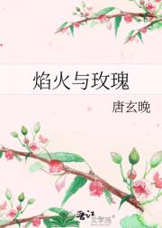 焰火与玫瑰