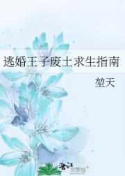 逃婚王子废土求生指南