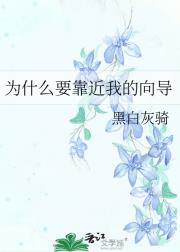 那我问你，为什么要靠近我的向导