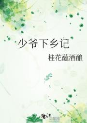 少爷下乡记