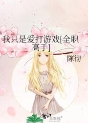 我只是想打游戏[全职高手]