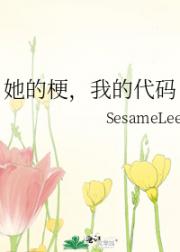她的梗，我的代码