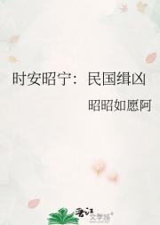 时安昭宁：民国缉凶