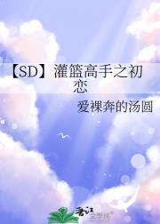 【SD】灌篮高手之初恋