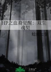HP之从末世到哈利波特世界