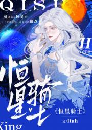 恒星骑士