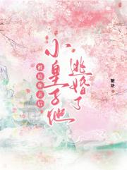 被迫和亲后小皇子他逃婚了