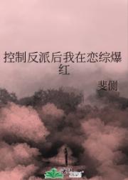 控制反派后我在恋综爆红