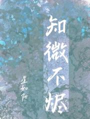 知微不烬（穿越）