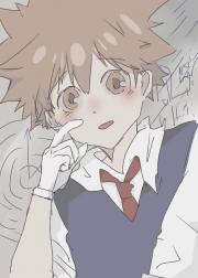 这个泽田家光成27厨后