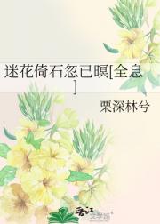 迷花倚石忽已暝[全息]