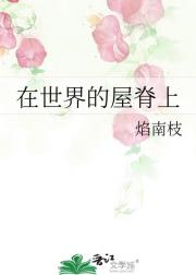 在世界的屋脊上