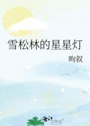 雪松林的星星灯