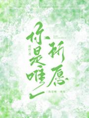 你是唯一所愿
