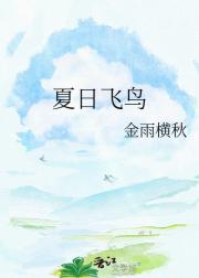 夏日飞鸟