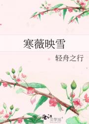 寒薇映雪