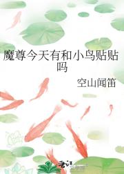魔尊今天有和小鸟贴贴吗