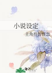 小说设定