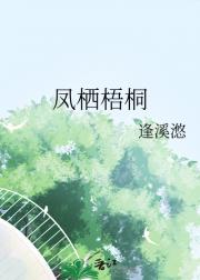 凤栖梧桐