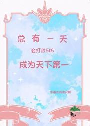总有一天会打败5t5成为天下第一