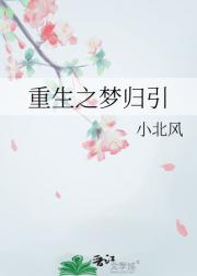 重生之梦归引