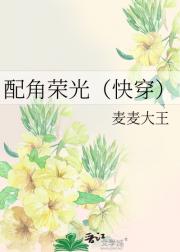 配角荣光（快穿）