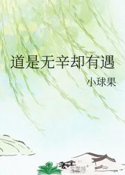 道是无辛却有遇