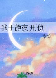 我于静夜【刑侦】