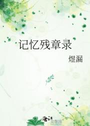 记忆残章录