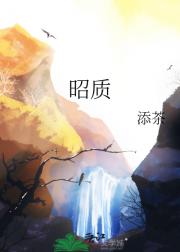 昭质