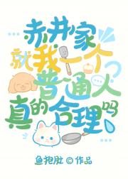赤井家就我一个普通人真的合理吗？