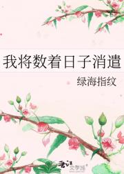 我将数着日子消遣