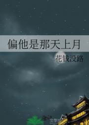 偏他是那天上月