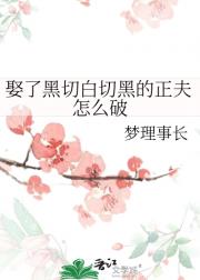 娶了黑切白切黑的正夫怎么破