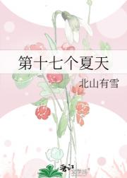 第十七个夏天