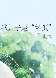 我儿子是坏蛋