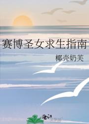 赛博圣女求生指南