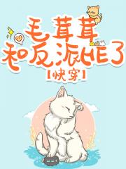 变成毛茸茸后和反派he了【快穿】