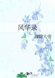 风华录