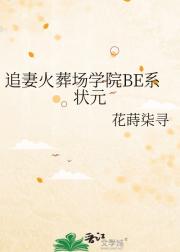 追妻火葬场学院BE系状元