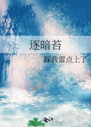 逐暗苔