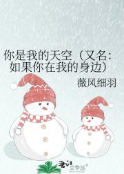 你是我的天空（又名：如果你在我的身边）