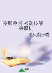 【变形金刚】被动技能会撩机